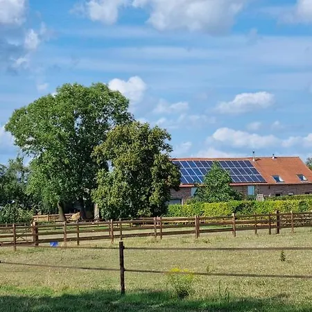 Boshovense Velden Grobbendonk