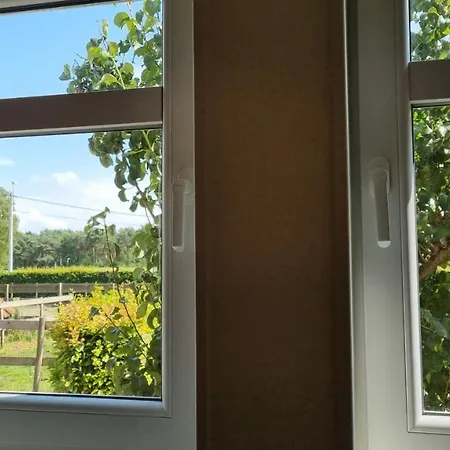 Boshovense Velden Semesterbostad Grobbendonk