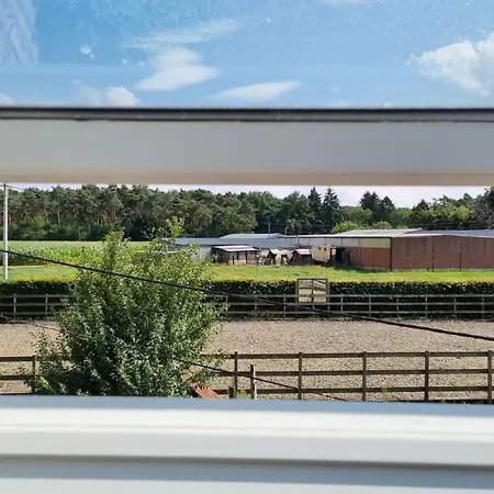 Boshovense Velden Grobbendonk