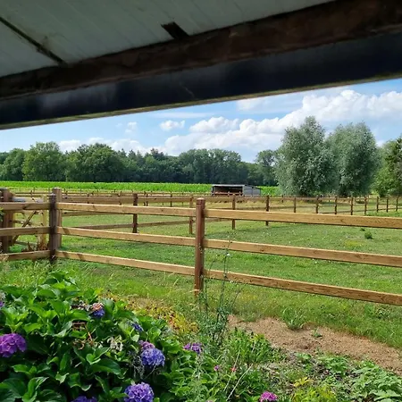 Boshovense Velden Grobbendonk