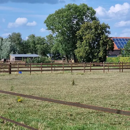 Boshovense Velden Grobbendonk